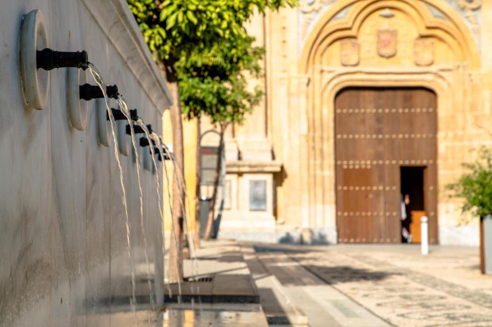Los Patios De San Lorenzo Con Parking Córdoba Exteriör bild