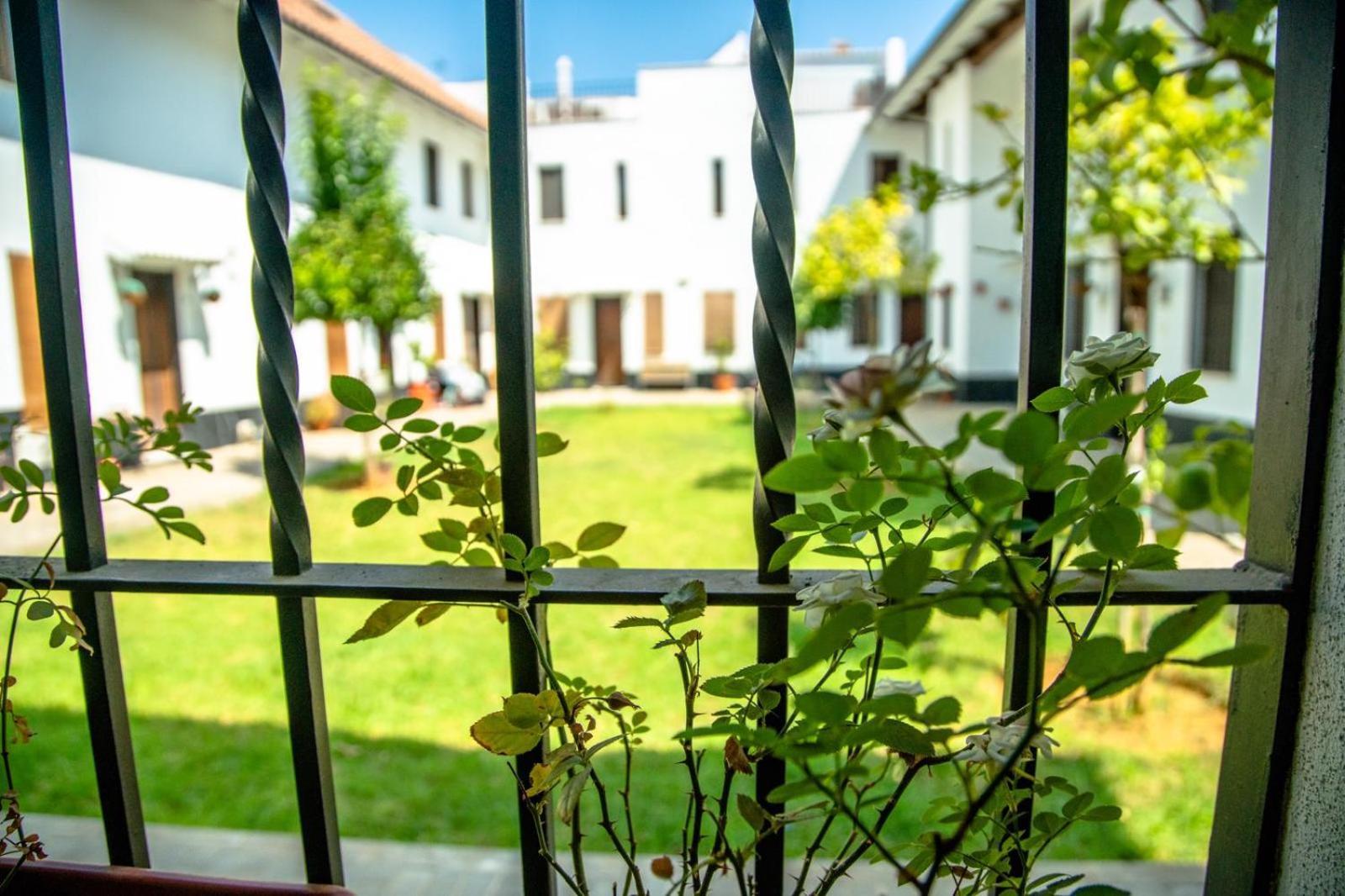 Los Patios De San Lorenzo Con Parking Córdoba Exteriör bild